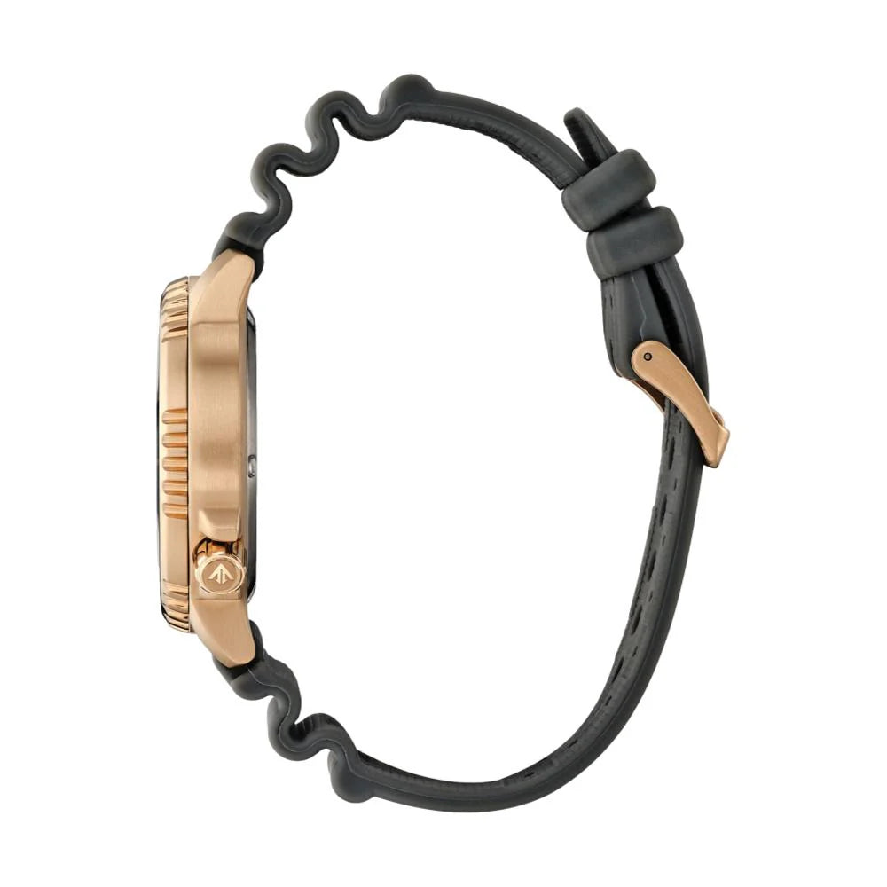 Citizen Promaster Dive Grey Dial, Gold-Tone Case