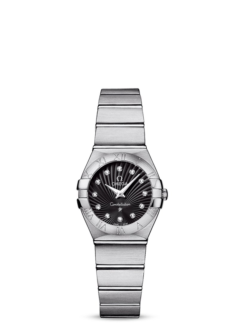 CONSTELLATION QUARTZ 24 MM
 
 Steel on steel
