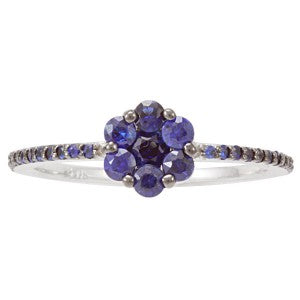 Interchangeable Blue Sapphire Center Band