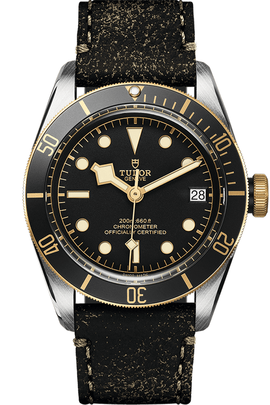 TUDOR
BLACK BAY S&G