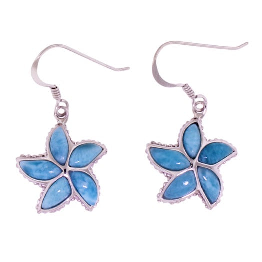 Beautiful Larimar Earring in Sterling Silver